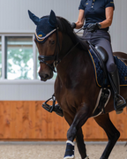 Dressage essentials