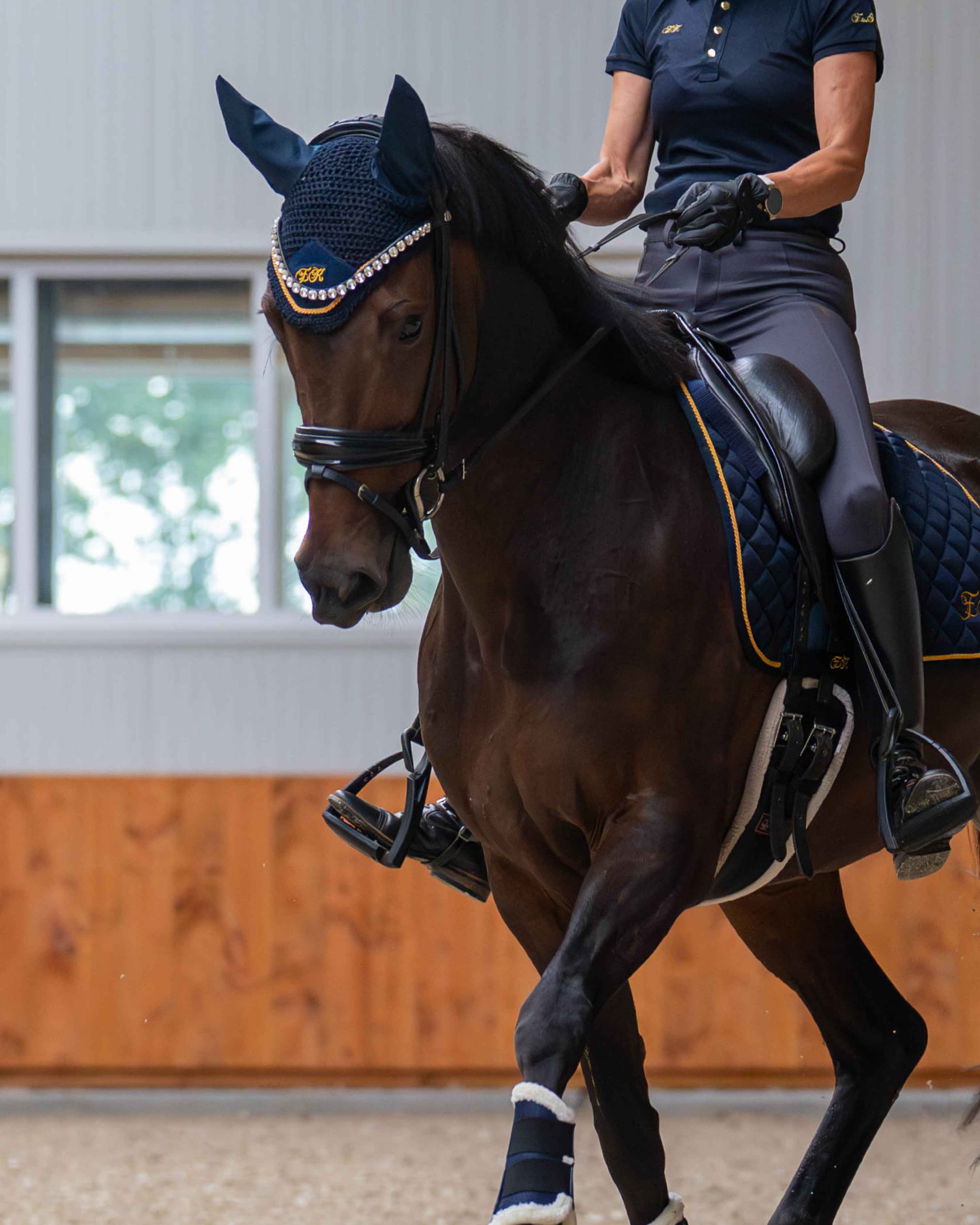 Dressage essentials