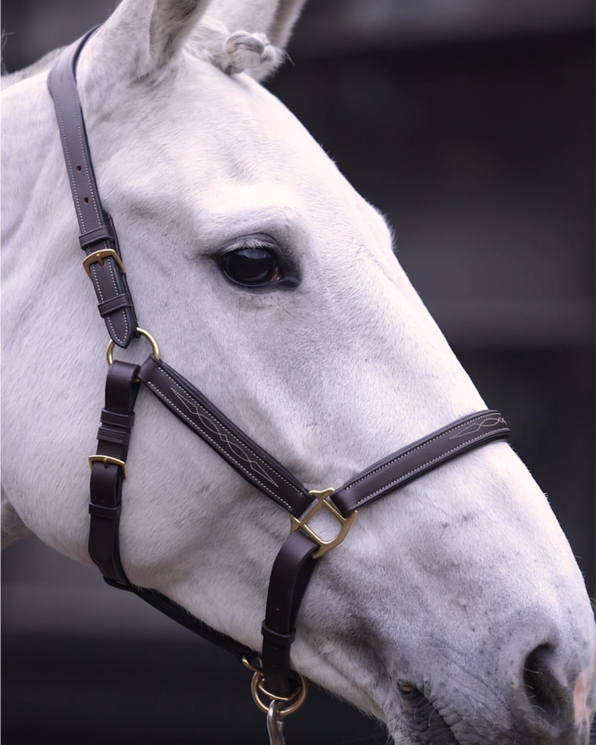 Leren halster - Classic Couture