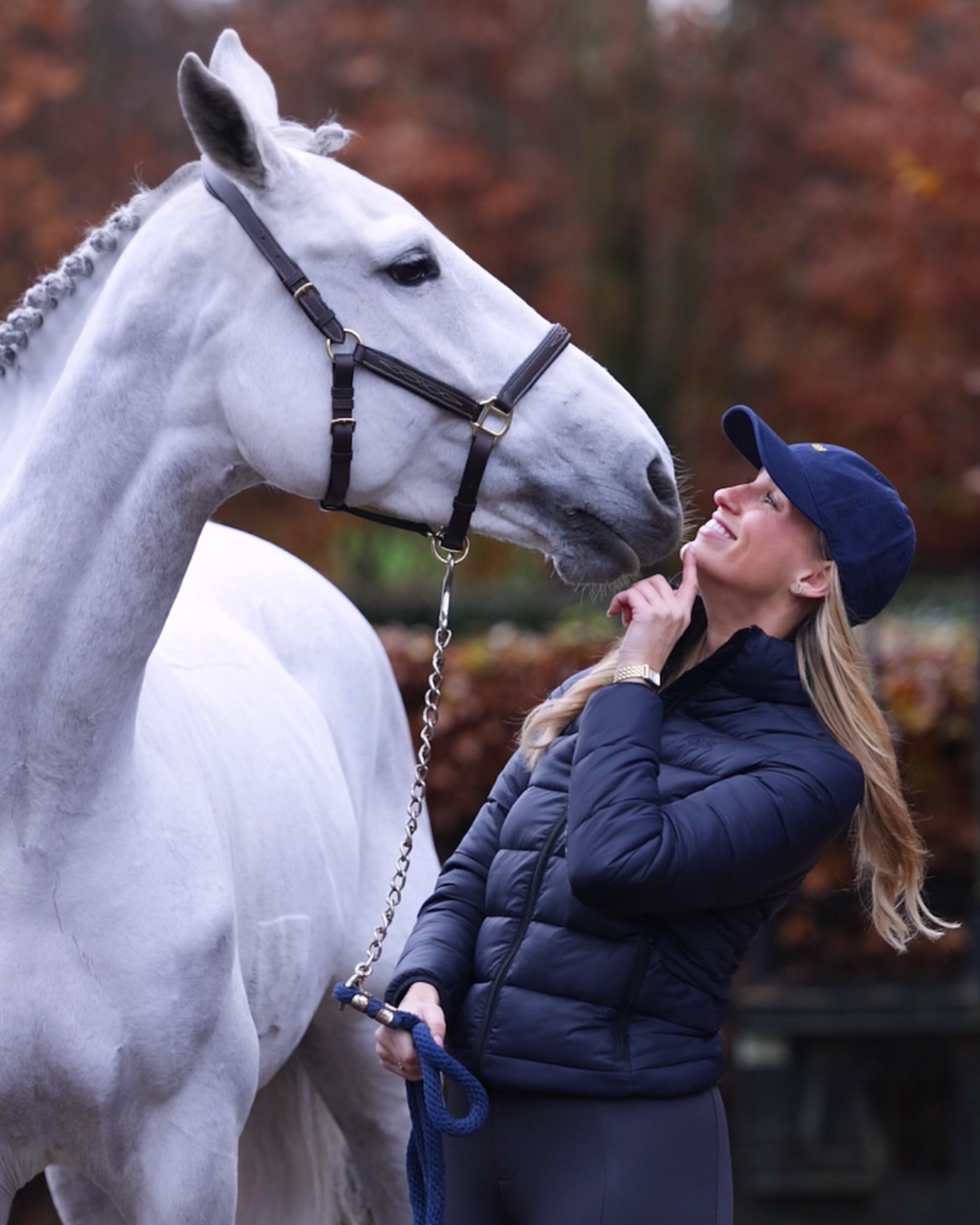 Leren halster - Classic Couture