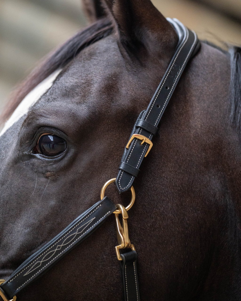 Leather halter - Classic Couture