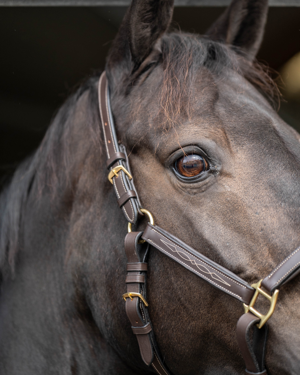 Leather halter - Classic Couture