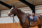 Jumping essentials